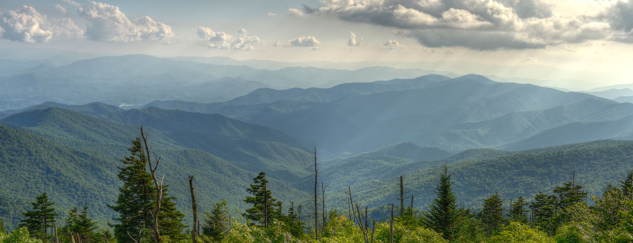 Emprende en Rosa